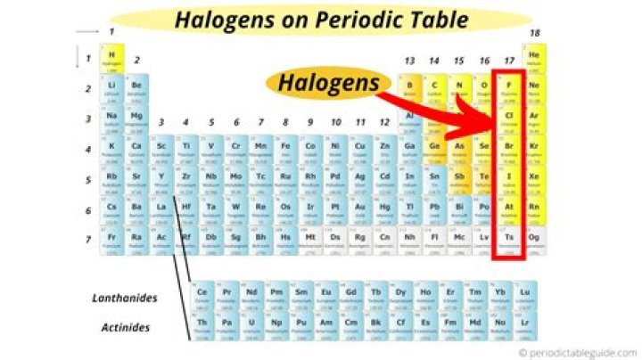 Where are halogens on the periodic table?